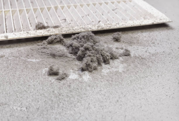Best Affordable Air Duct Cleaning  in Leadville North, CO