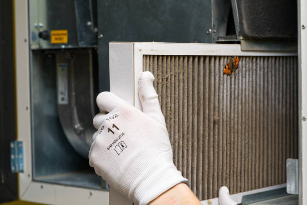 Best HVAC Maintenance and Cleaning  in Leadville North, CO